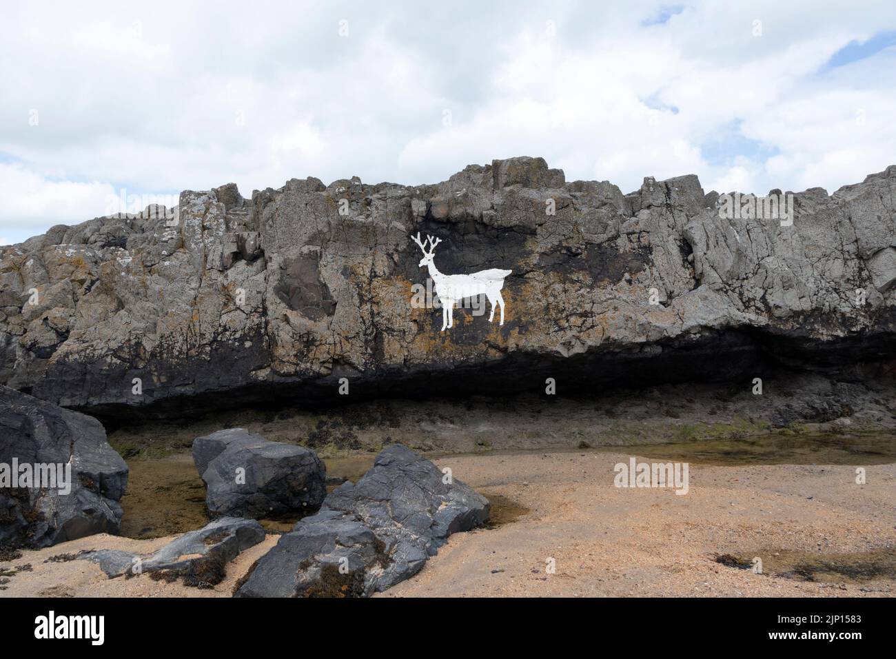 Cerf blanc peint sur les rochers de Blackrocks point (également connu sous le nom de Stag Rocks), Bamburgh, Northumberland, Royaume-Uni Banque D'Images