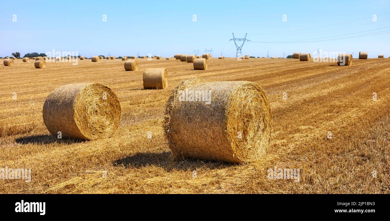 Panorama rural d'été avec balles de foin sur un champ. Banque D'Images