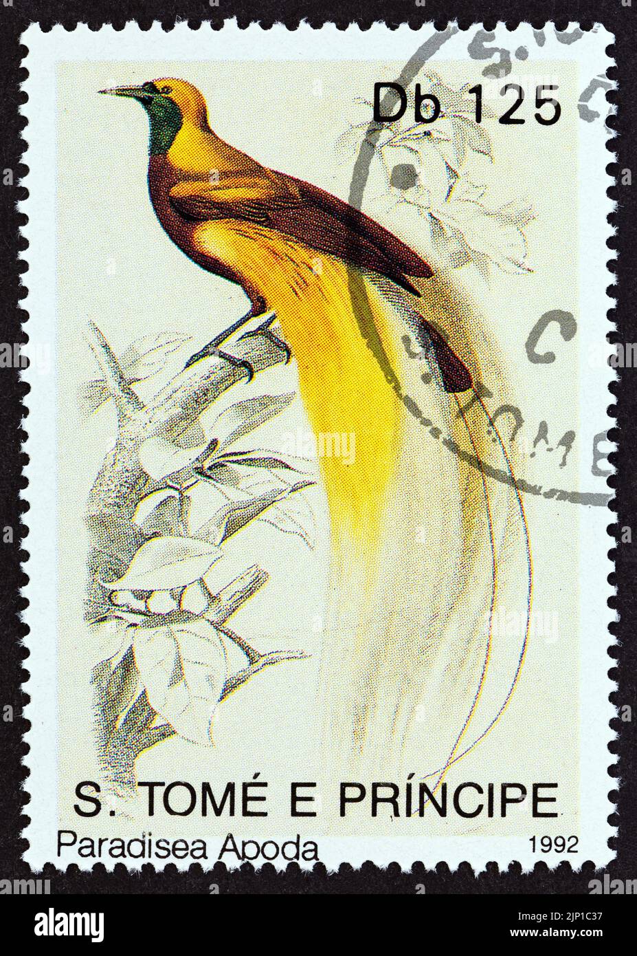 SAO TOMÉ-ET-PRINCIPE - VERS 1992 : un timbre imprimé à Sao Tomé-et-principe dans le numéro « oiseaux » montre un oiseau de paradis plus grand (apoda paradisée), Banque D'Images