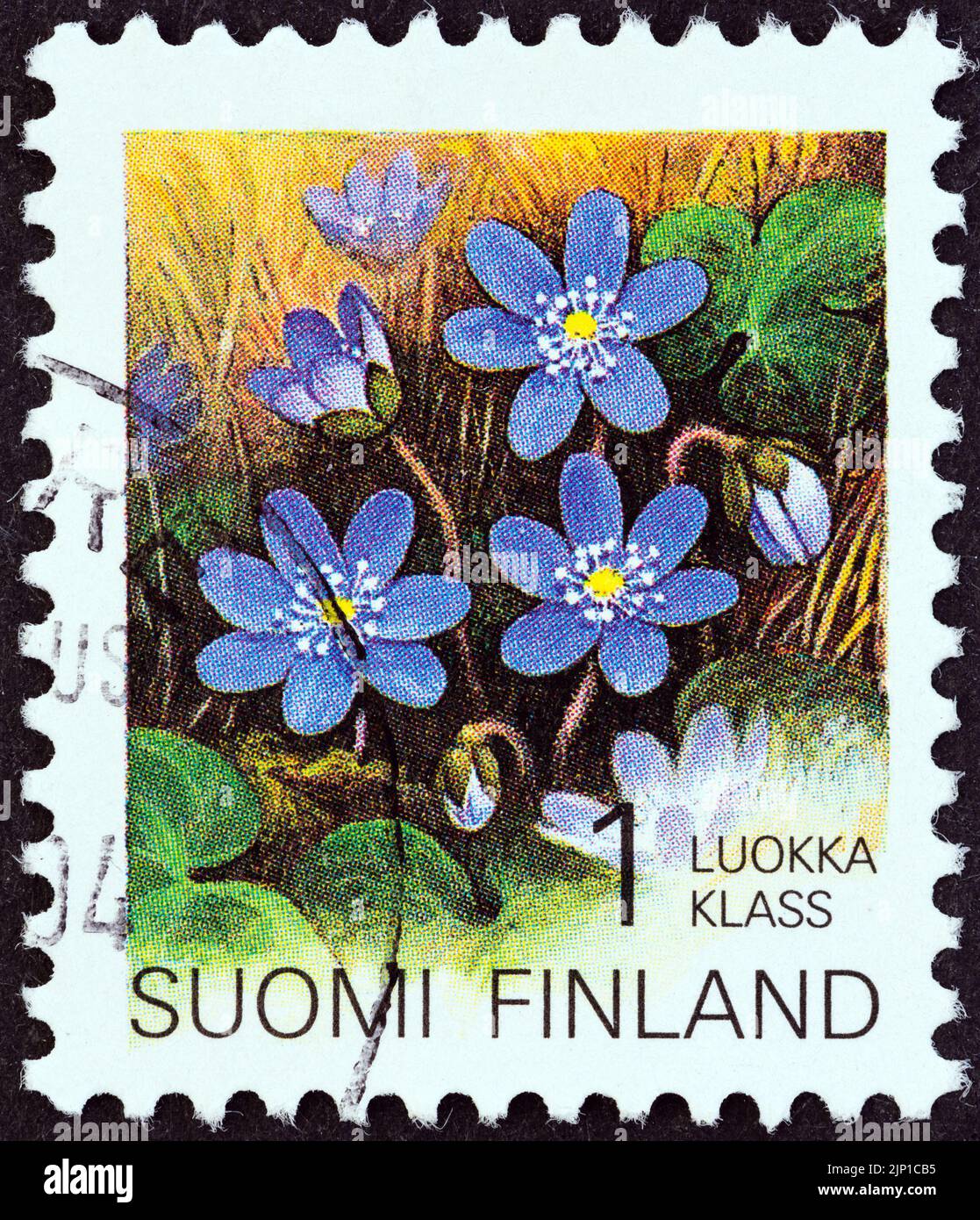 FINLANDE - VERS 1993 : un timbre imprimé en Finlande à partir du numéro « provincial plants » montre Hepatica, vers 1993. Banque D'Images