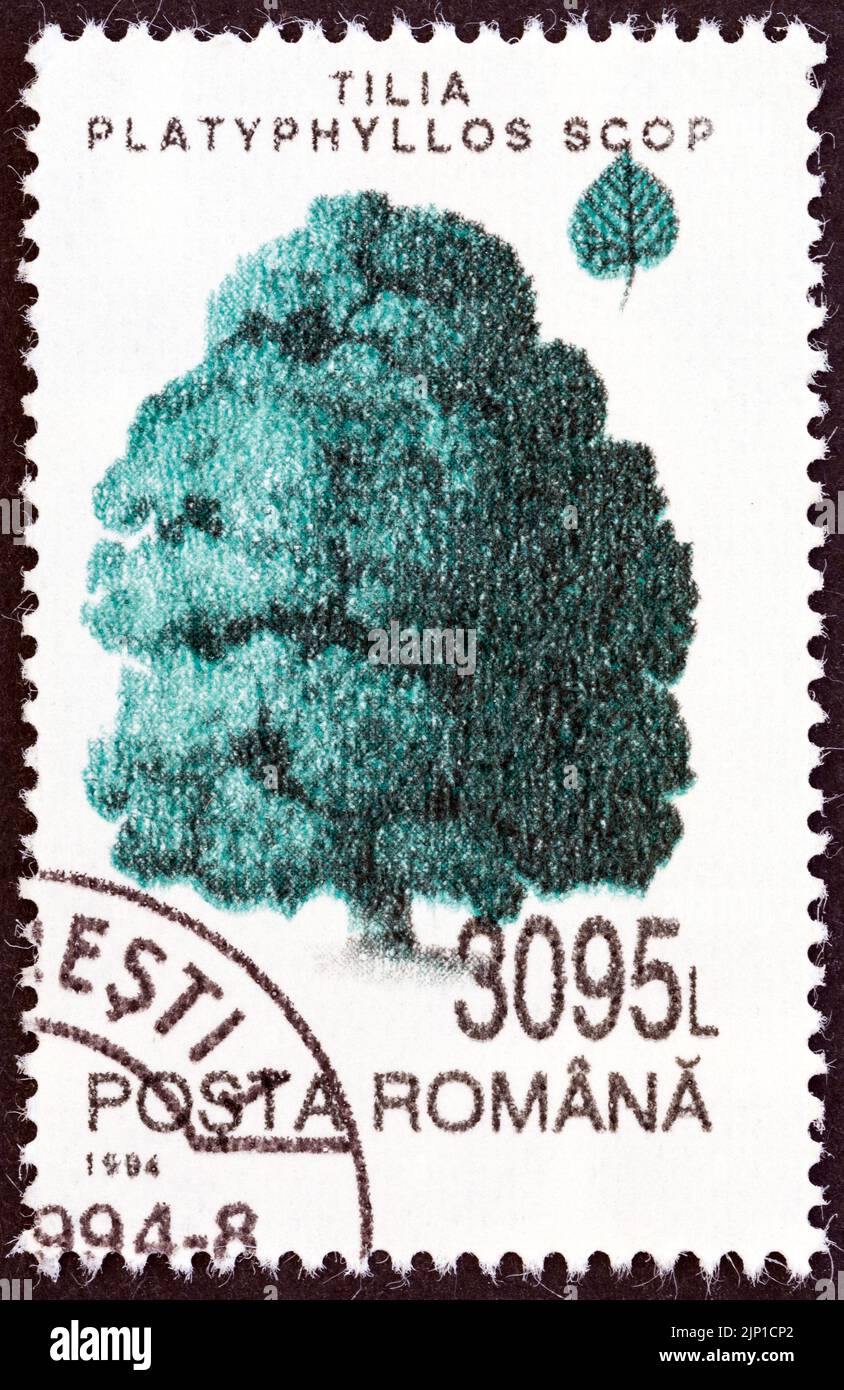 ROUMANIE - VERS 1994: Un timbre imprimé en Roumanie à partir de l'édition "arbres" montre de gros feuilles de chaux, vers 1994. Banque D'Images