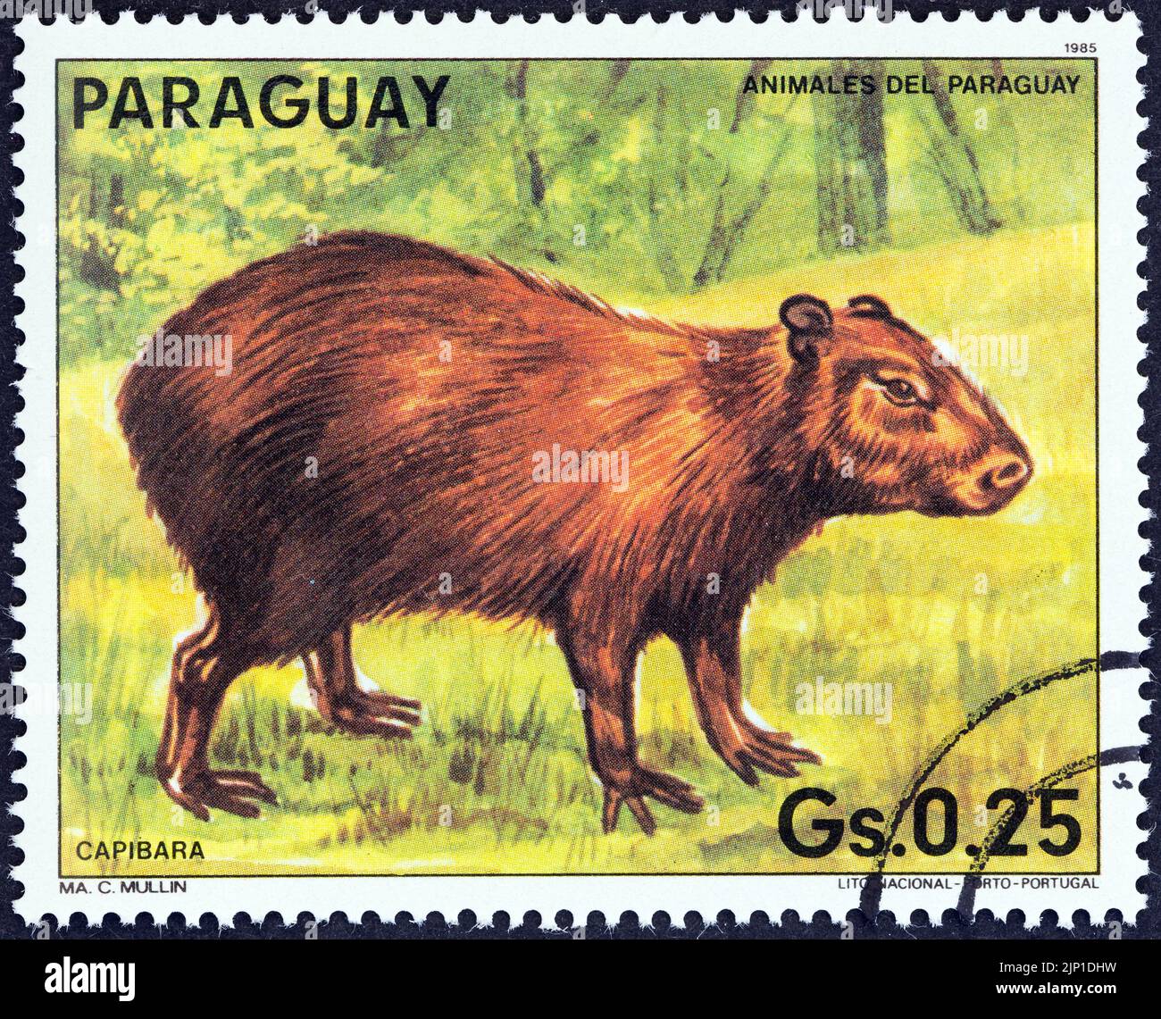 PARAGUAY - VERS 1985: Un timbre imprimé au Paraguay montre un Capybara (Hydrochoerus hydrochaeris), vers 1985. Banque D'Images