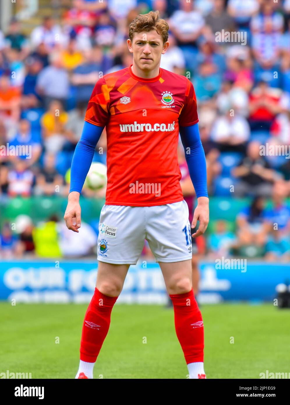 Avant-match Daniel Finlayson - Linfield vs Portatown, Windsor Park Belfast, dimanche 14th août 2022 Banque D'Images