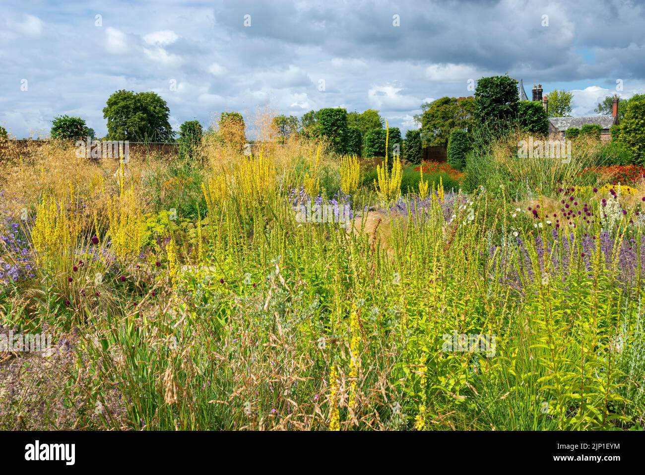 Le jardin du Paradis à RHS Bridgewater, Worsley, Greater Manchester, Angleterre. Banque D'Images