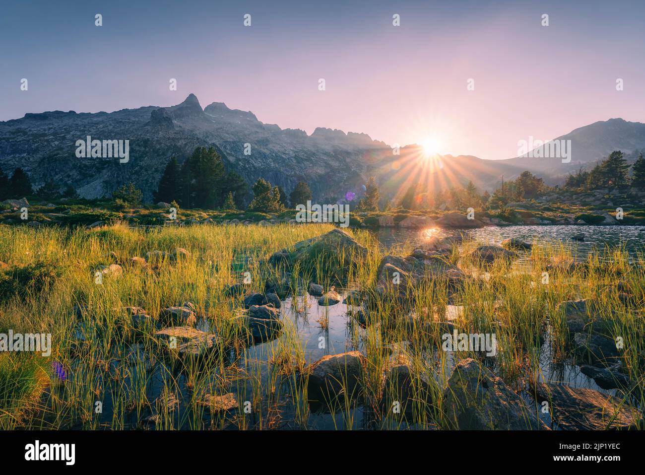 Paysages naturels du lac, de la forêt et des montagnes dans les ...