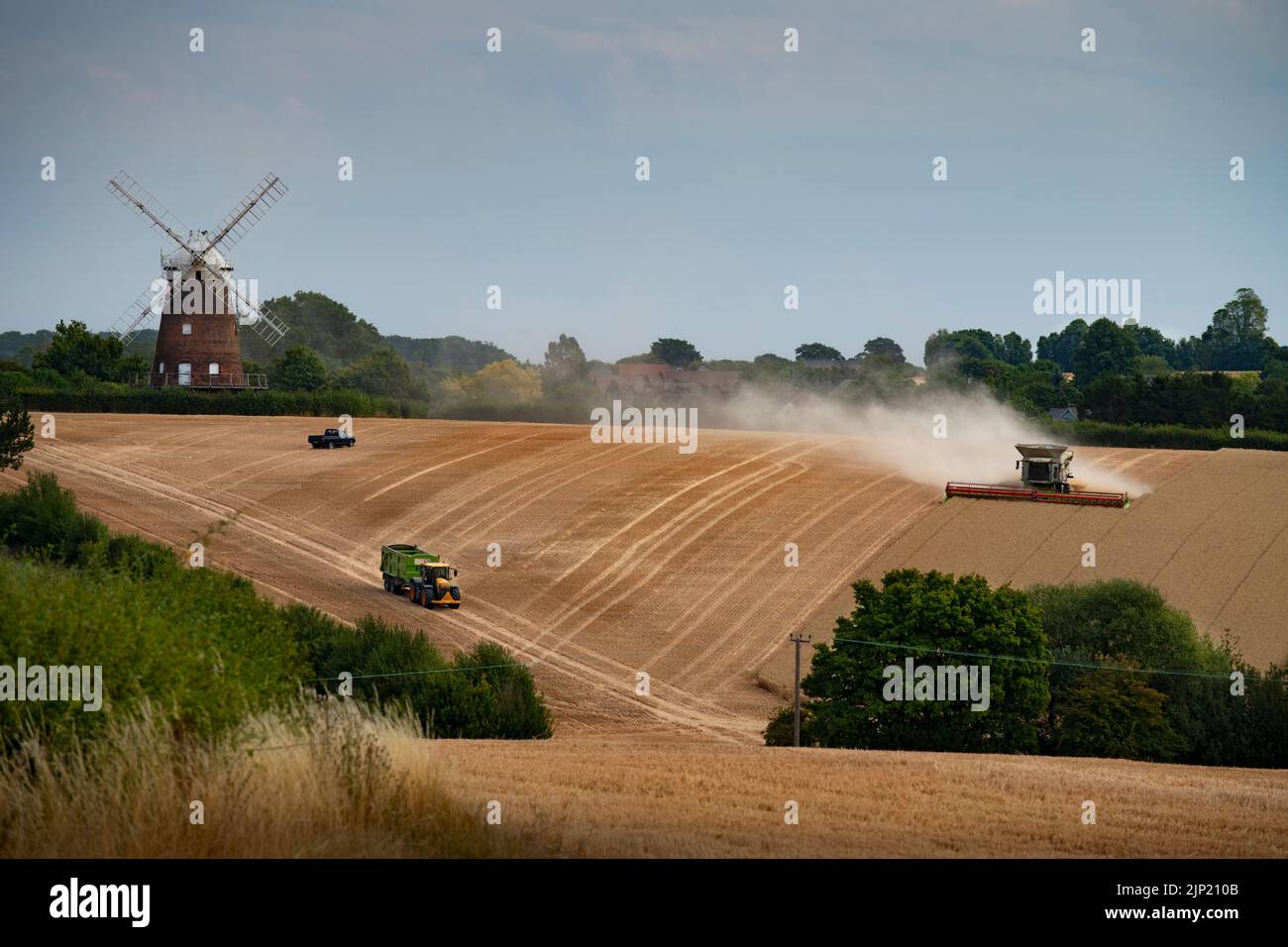 Thaxted, Royaume-Uni. 15th août 2022. Thaxted Essex Late Harvest 15 août 2022 vu ici: L'idylle bucolique d'une scène de récolte tardive dans le Nord-Ouest de l'Essex en Angleterre. La moissonneuse-batteuse £600 000 de 48 pieds est considérée comme un travail acharné à l'ombre du moulin de John Webb datant du 19th siècle. L'agriculteur Simon Latham a déclaré que le rendement était de 3,5 tonnes par acre, aurait dû être de 4 tonnes, mais il n'y avait pas assez humide, mais le blé avait une teneur en humidité de 12%, alors Simon a dit que c'était une bonne récolte. Crédit photo : BRIAN HARRIS/Alay Live News Banque D'Images