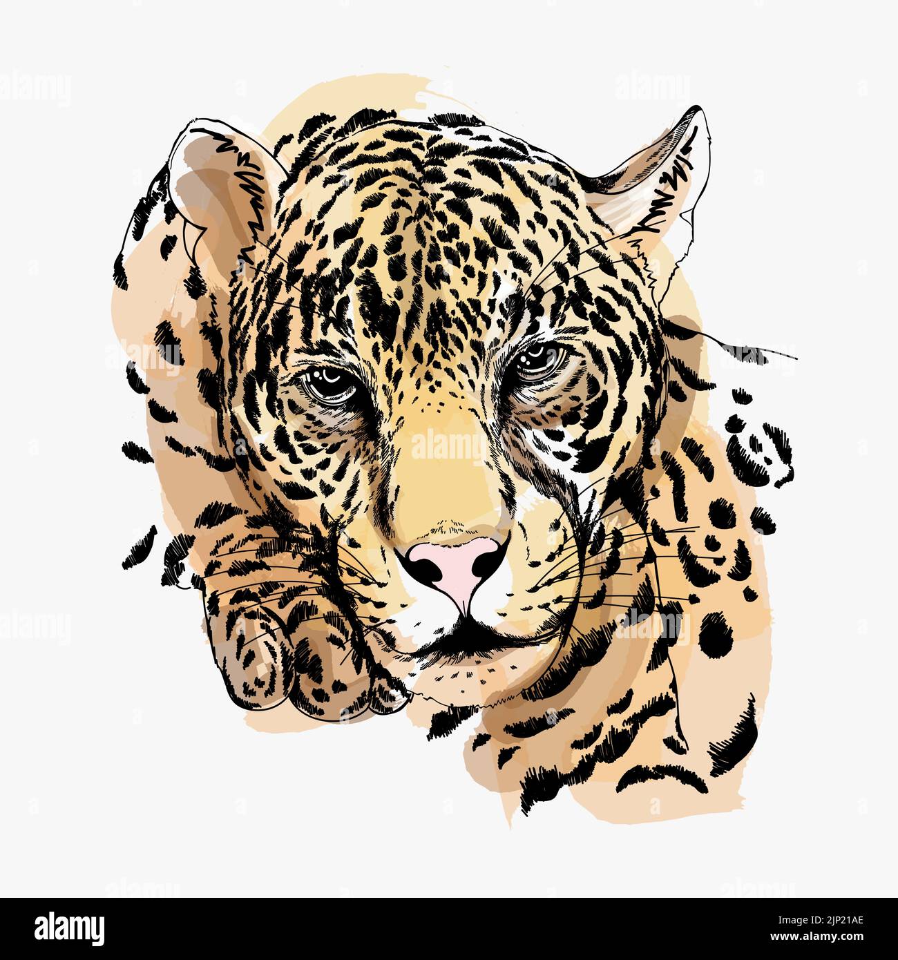Croquis à main leopard style isolé sur fond blanc. Vector illustration. Illustration de Vecteur