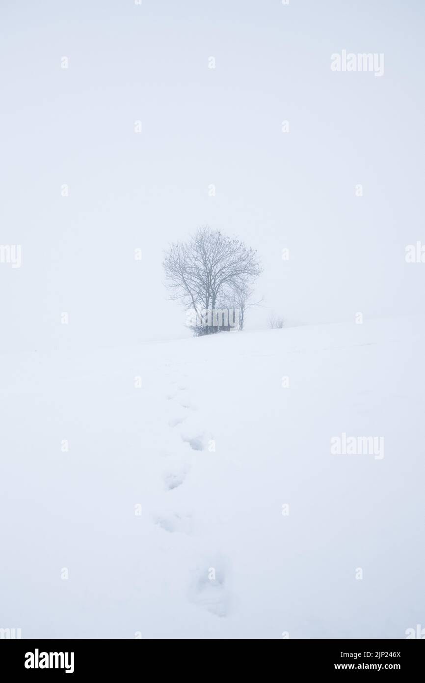 Les pistes dans la neige profonde Banque D'Images