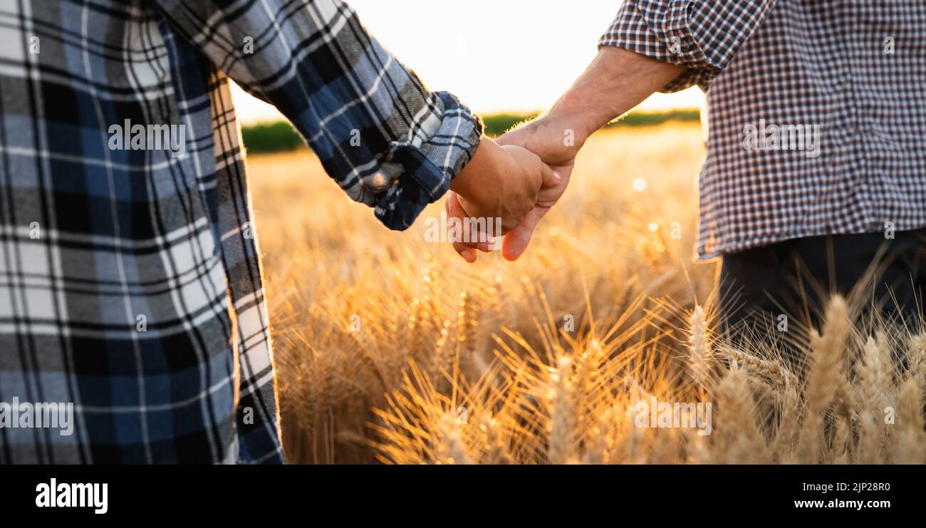 Un couple d'agriculteurs en chemises et casquettes à carreaux tenant la main sur le champ agricole de blé au coucher du soleil Banque D'Images
