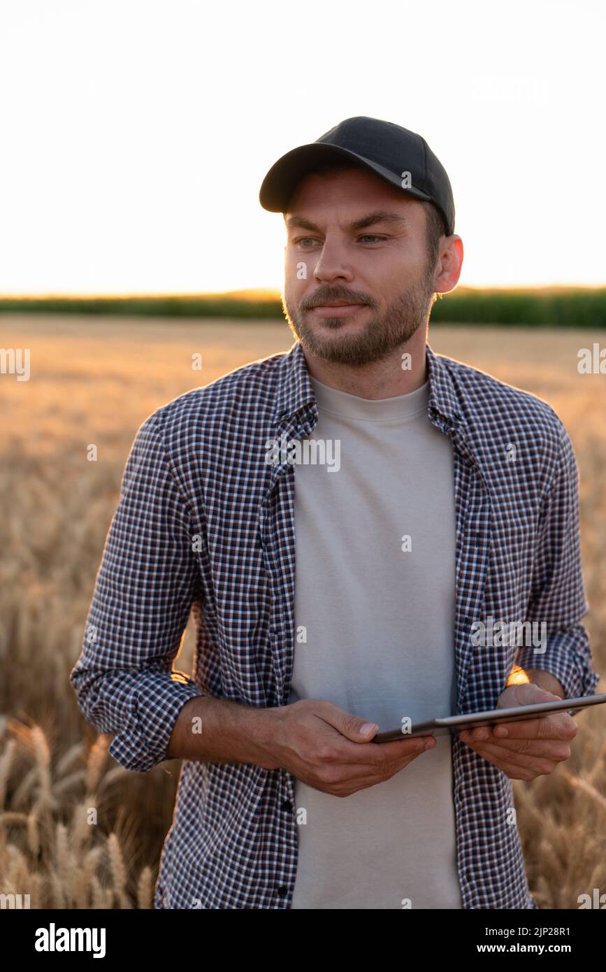 L'agriculteur examine le domaine des céréales et envoie des données au nuage à partir de la tablette. Agriculture intelligente et agriculture numérique. Banque D'Images