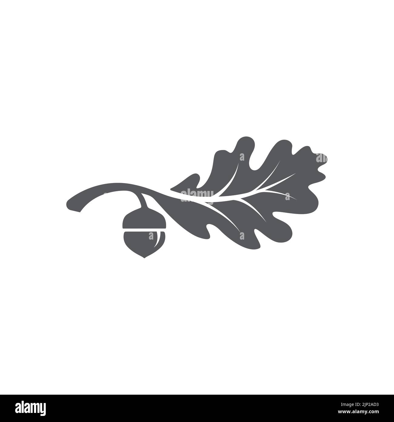 Modèle avec logo en chêne. Feuille de chêne avec vecteur graphique acorns. Illustration vectorielle Illustration de Vecteur