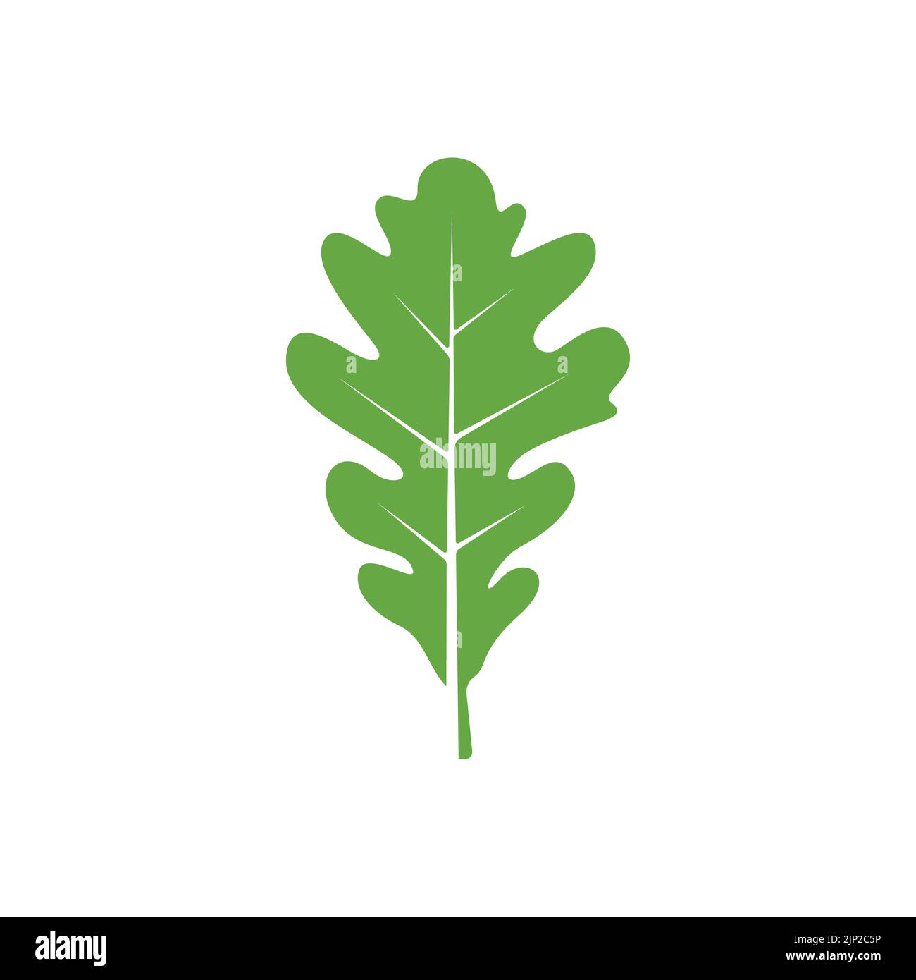 Modèle avec logo en chêne. Pictogramme de feuilles de chêne. Illustration vectorielle Illustration de Vecteur