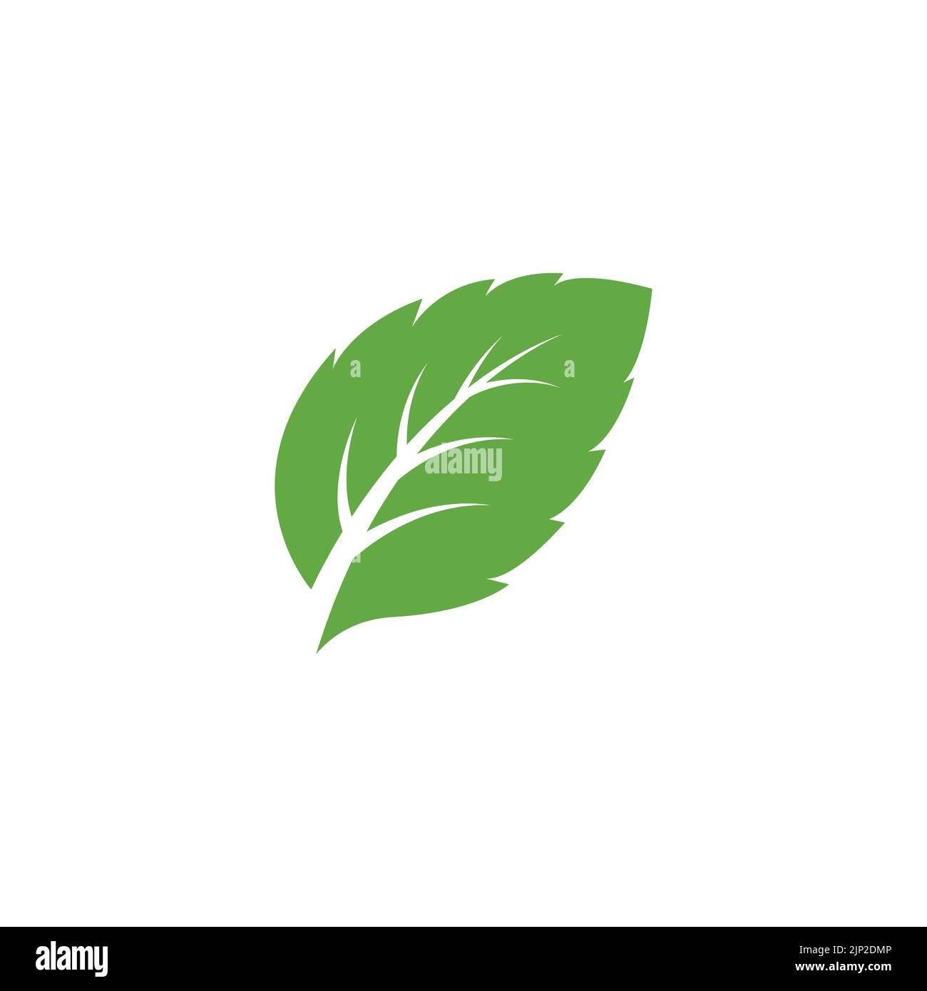 Vert menthe feuilles écologie élément nature vecteur icône, feuille icône, logo feuilles menthe illustration vectorielle Illustration de Vecteur