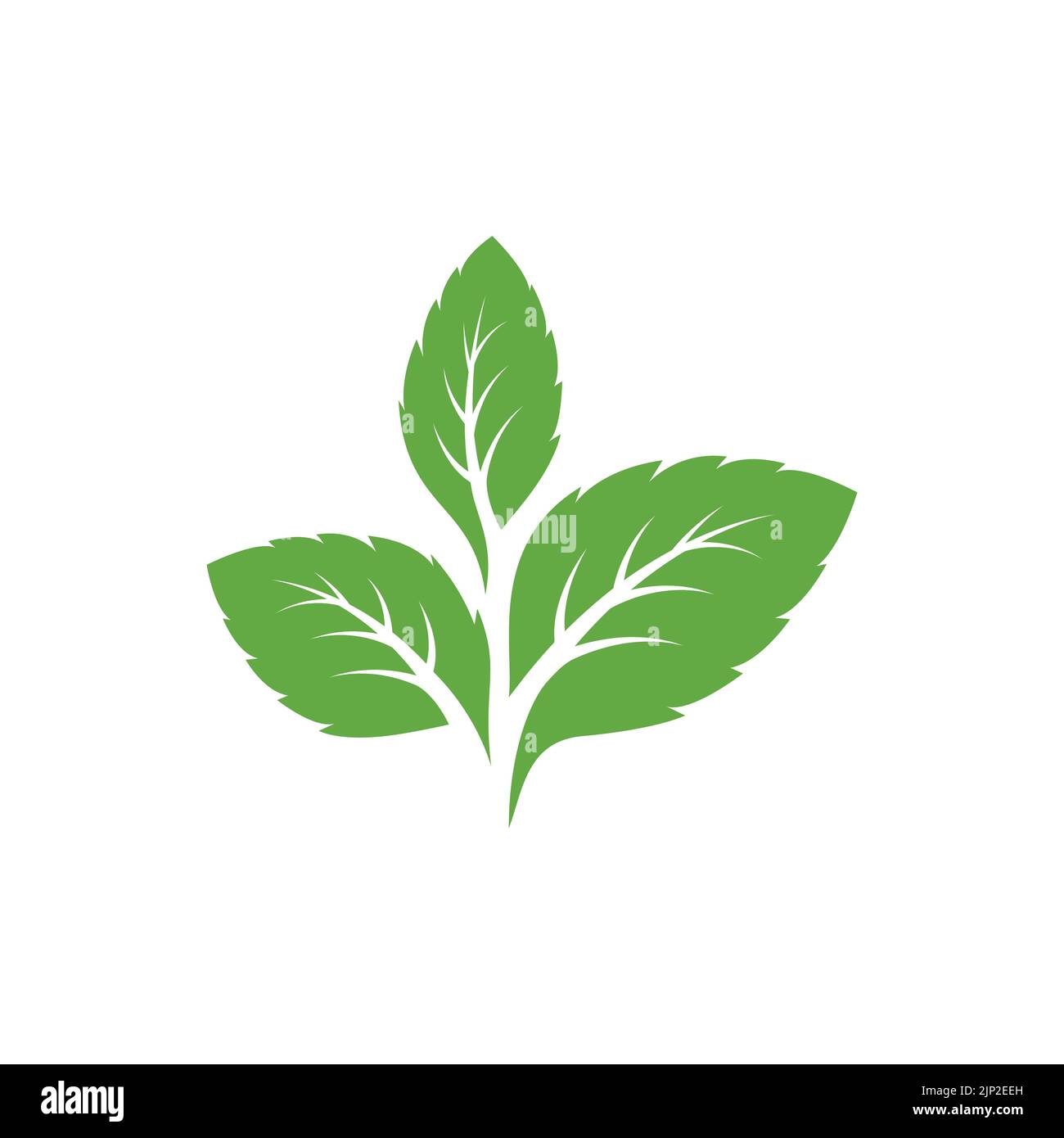 Vert menthe feuilles écologie élément nature vecteur icône, feuille icône, logo feuilles menthe illustration vectorielle Illustration de Vecteur