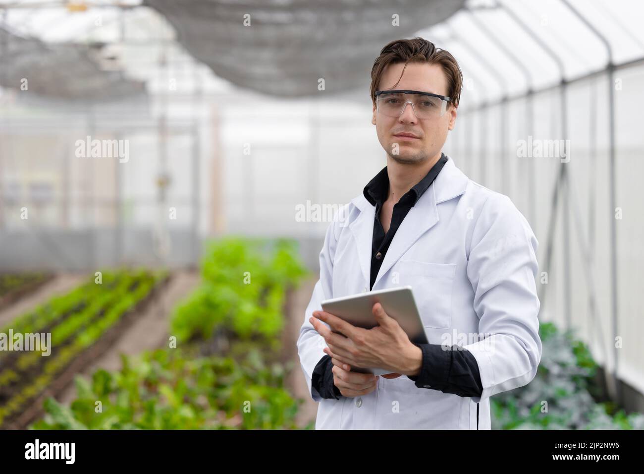 Portrait scientifique homme chercheur personnel travailleur collecte de l'information sur les plantes à l'étude dans une ferme agricole. Concept de science agricole. Banque D'Images
