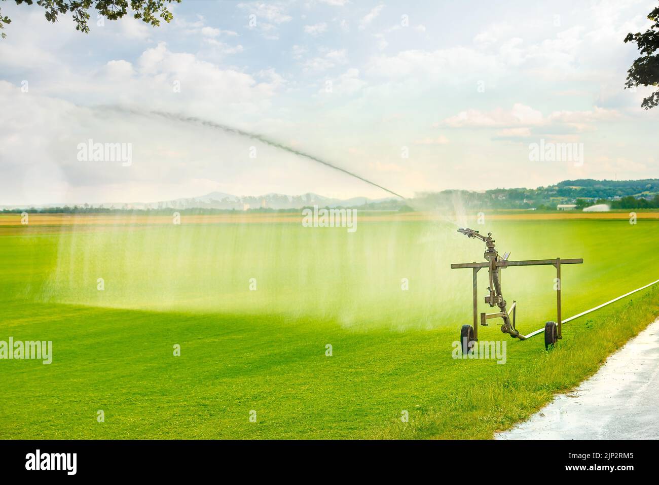 L'herbe verte obtient de l'eau en utilisant un système d'arrosage avec lanceur automoteur dans le champ de l'agriculteur le jour ensoleillé. Banque D'Images