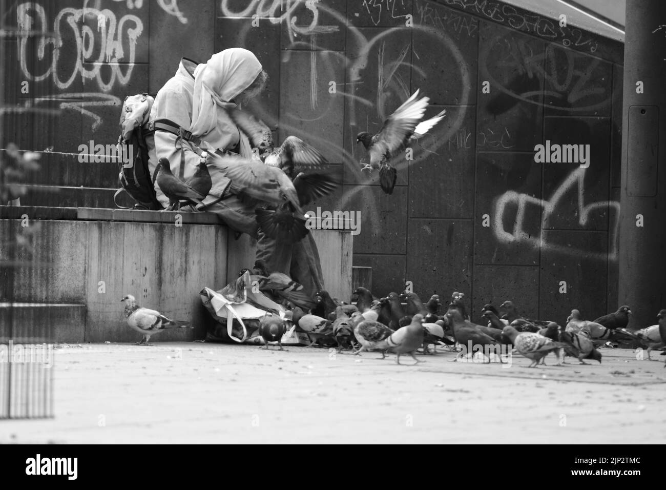 Une vieille femme assise sur les escaliers avec des graffitis en arrière-plan et nourrissant des pigeons en Allemagne Banque D'Images