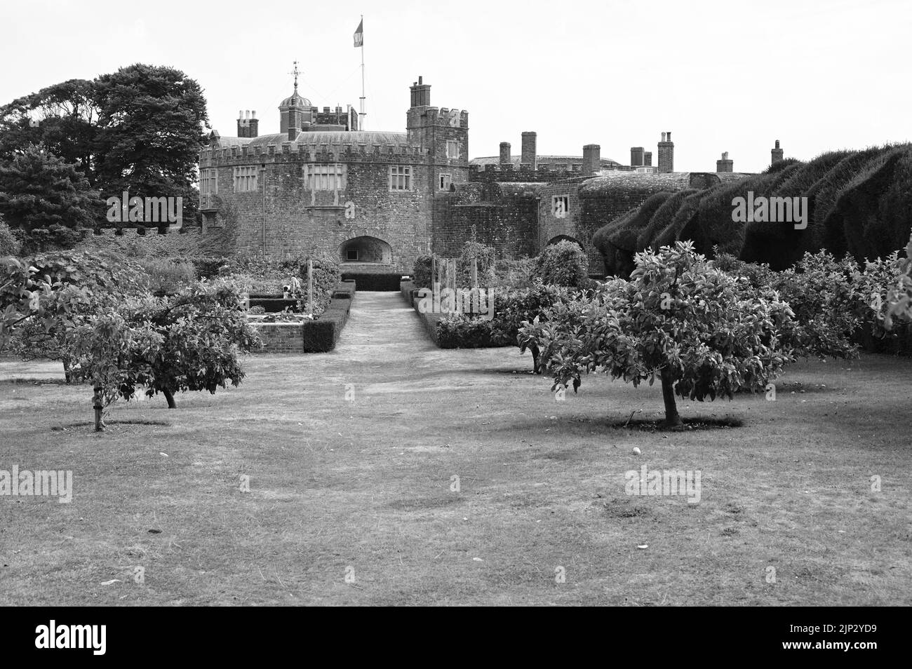 Deal, Kent, UK-15 août 2022: Le verger de William Pitt le plus jeune au château de Walmer pendant la sécheresse d'août 2022. Banque D'Images