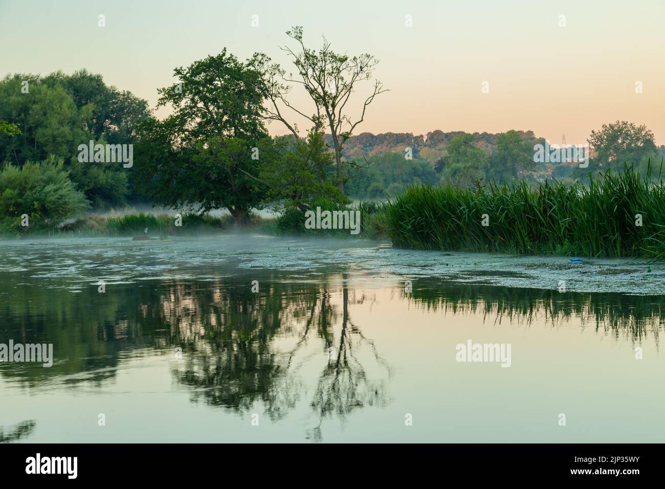 Aube d'été sur la rivière Avon à Salisbury, Wiltshire, Angleterre. Banque D'Images