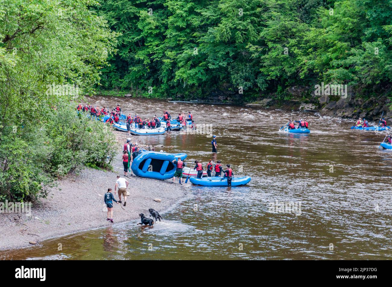 Rafting sur la rivière Lehigh, Jim Thorpe Pennsylvania, États-Unis Banque D'Images