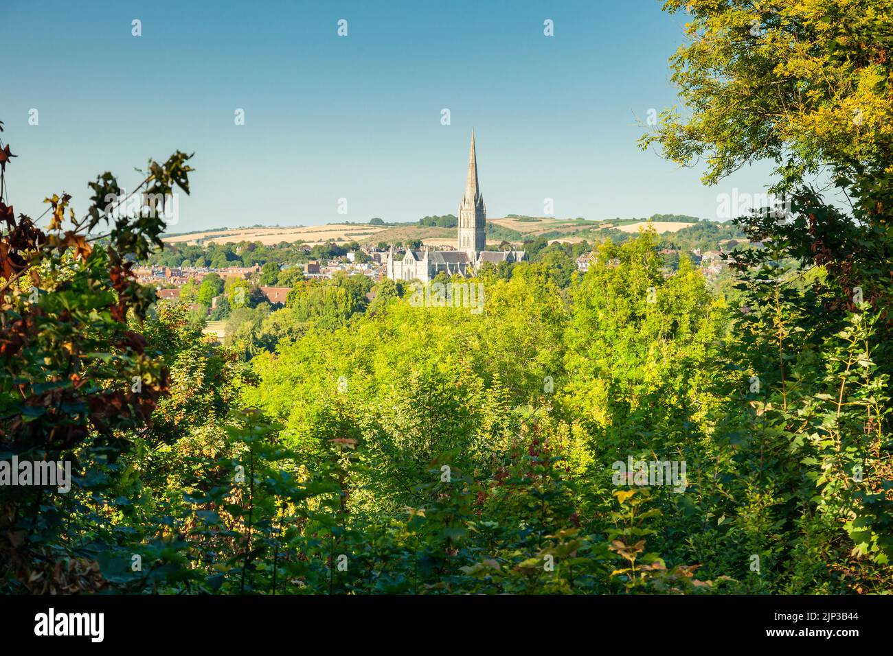 Cathédrale de Salisbury un après-midi d'été, Wiltshire, Angleterre. Banque D'Images