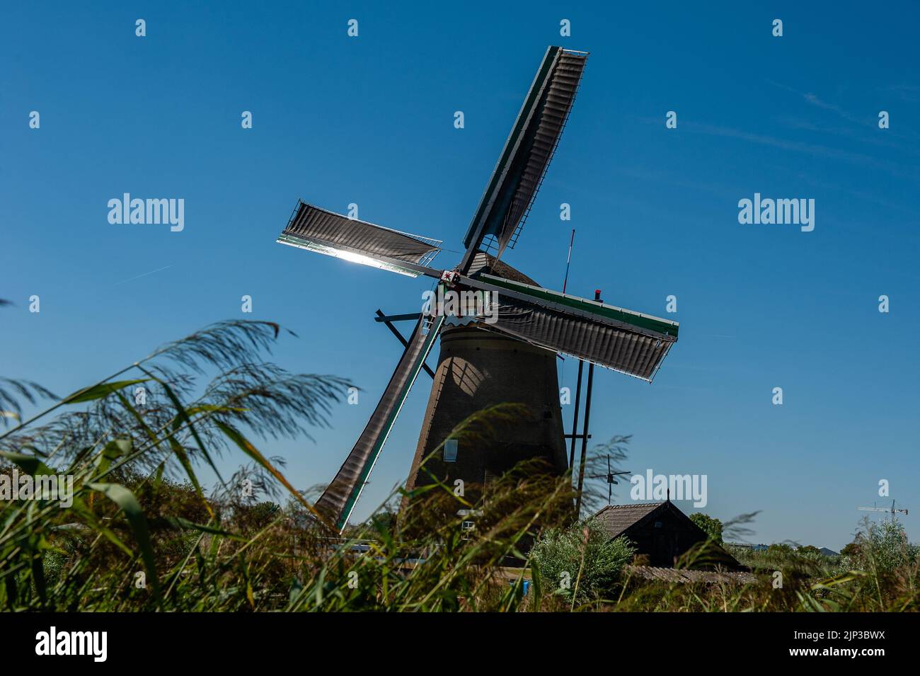 Kinderdijk, pays-Bas. 13th août 2022. Un moulin à vent est vu travailler avec le vent un jour très chaud. Dans la belle région riche en eau près de Dordrecht, vous trouverez les moulins à vent de Kinderdijk. Construits vers 1740, ces 19 magnifiques moulins à vent font partie d'un plus grand système de gestion de l'eau pour éviter les inondations. Aujourd'hui, ils symbolisent la gestion de l'eau aux pays-Bas et, en 1997, ils ont été déclarés site du patrimoine mondial de l'UNESCO. Chaque année, des milliers de touristes du monde entier visitent ce lieu emblématique. Crédit : SOPA Images Limited/Alamy Live News Banque D'Images
