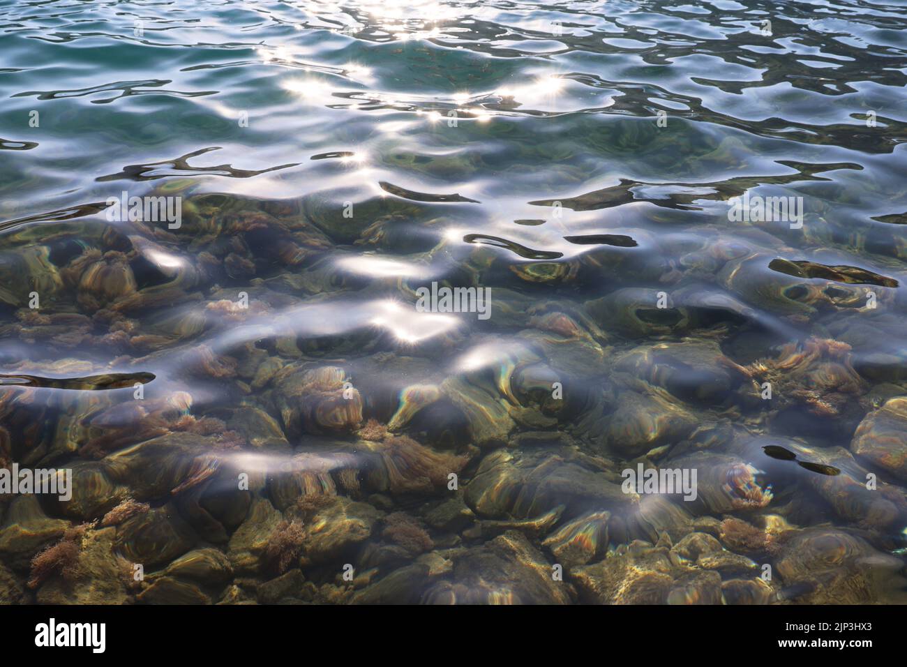 Surface de mer transparente avec pierres et poissons sur un fond. Plage d'été, eau peu profonde pour le fond Banque D'Images