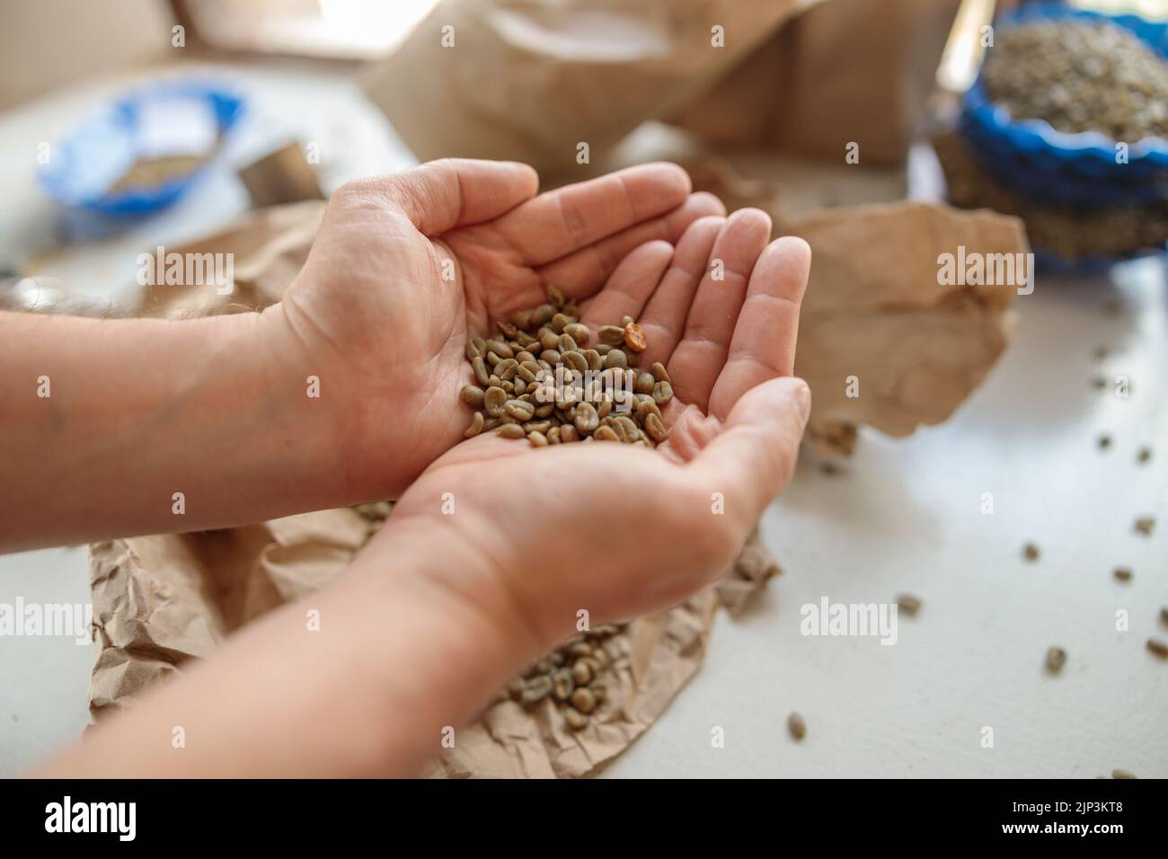 Déguteur de café professionnel pour les hommes tenant les grains de café dans les paumes pour la dégustation Banque D'Images