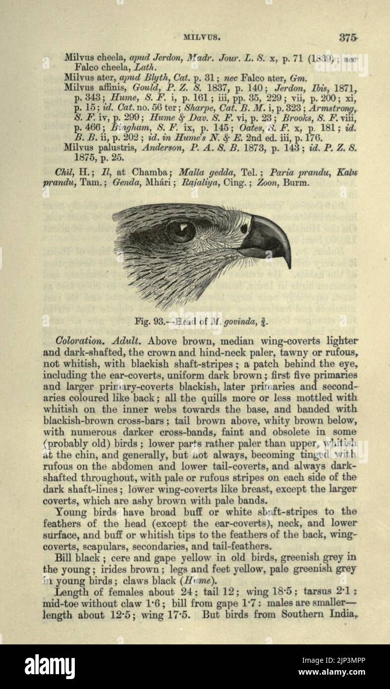 La faune de l'Inde britannique, y compris de Ceylan et la Birmanie (page 375) Banque D'Images