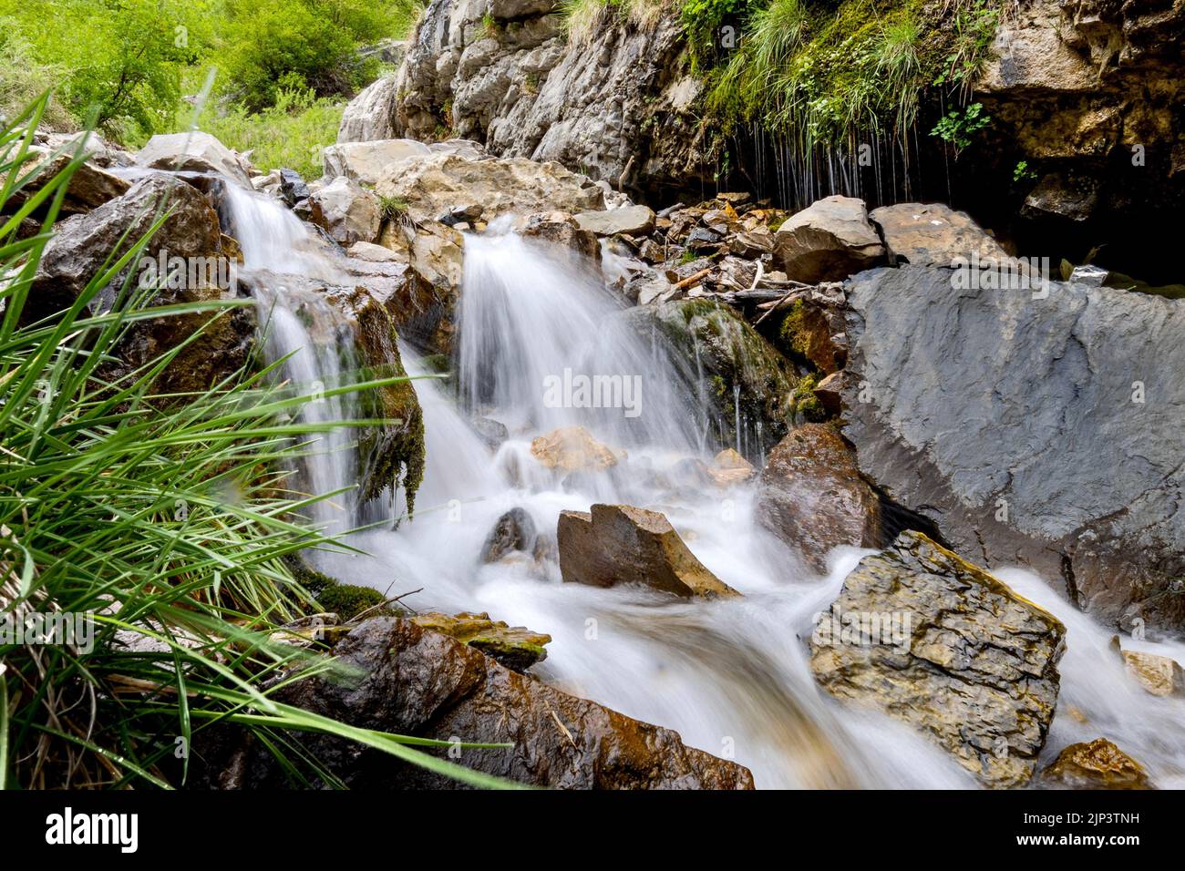 Les chutes Lost Creek à Provo Canyon, Utah, États-Unis Banque D'Images