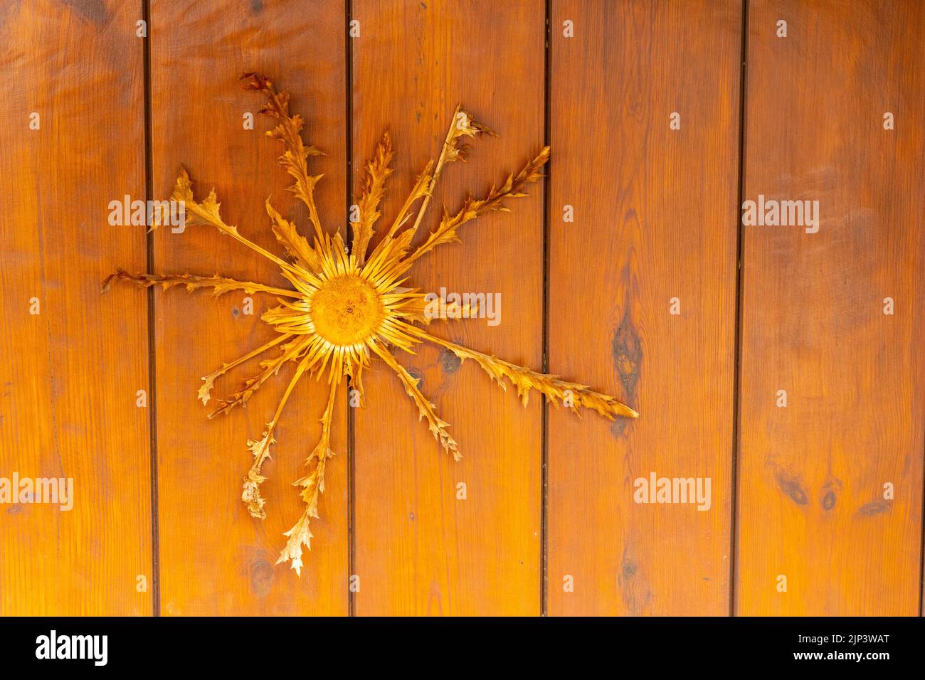 Une fleur sauvage séchée accrochée à une porte d'entrée en bois d'une maison Banque D'Images