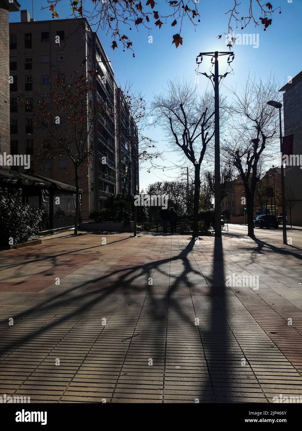 Lampe de rue et ombres d'arbres sur la rue, El Masnou Banque D'Images