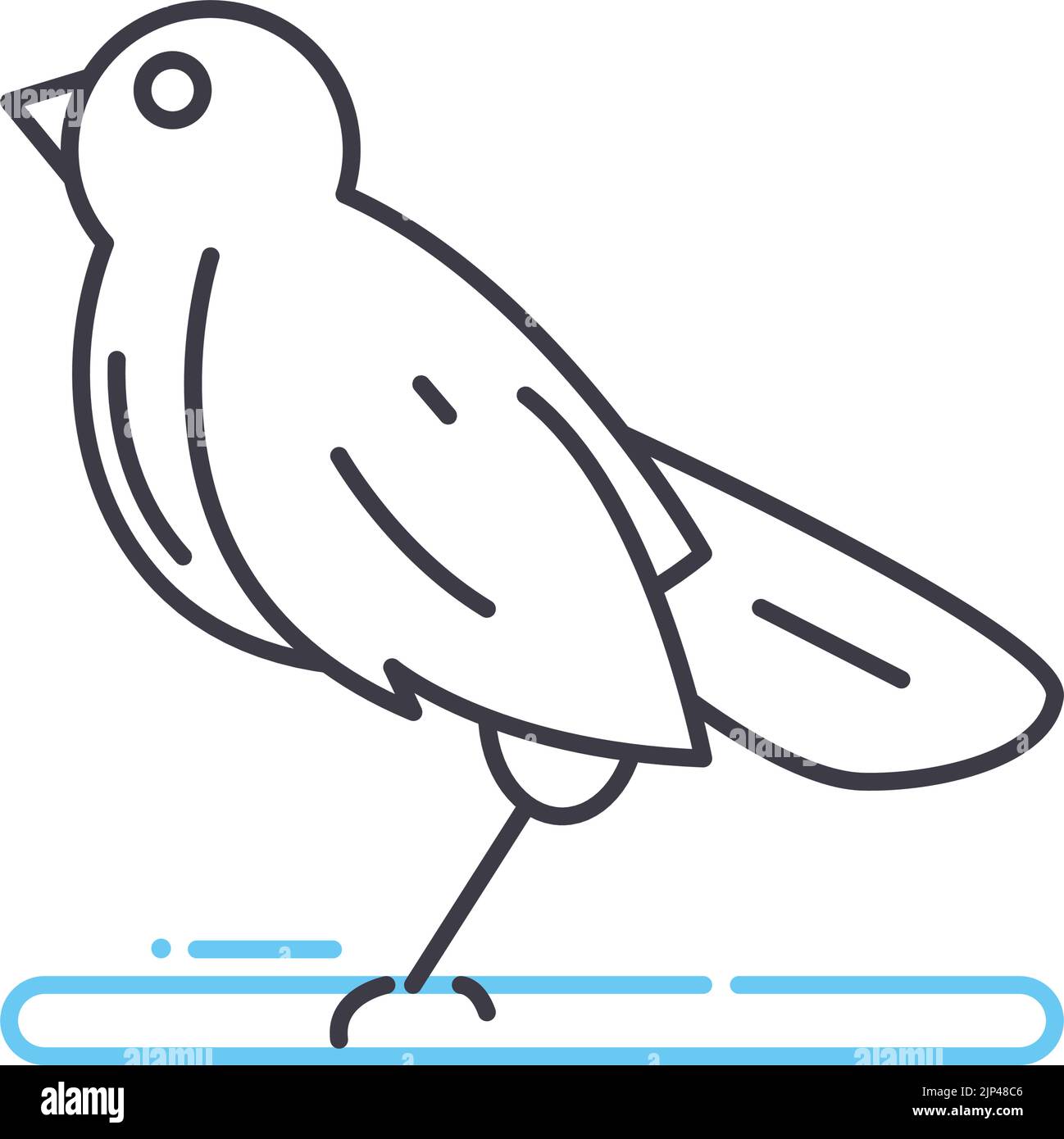 icône de ligne d'oiseau, symbole de contour, illustration vectorielle, signe de concept Illustration de Vecteur