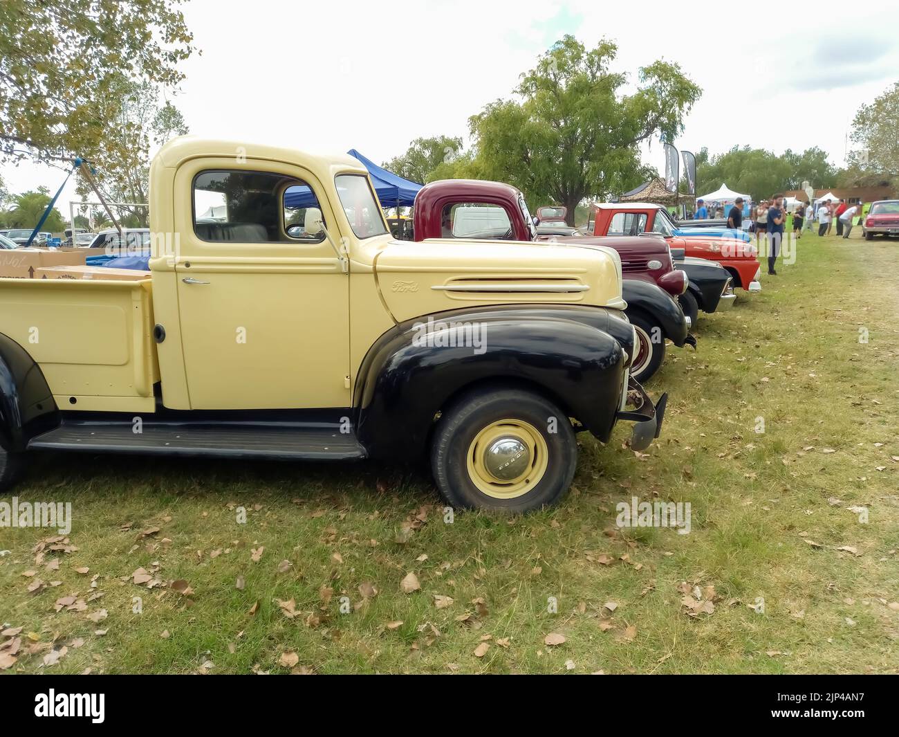 Vieille crème et noir utilitaire Ford pick-up 1942 - 1947 dans la campagne. Vue latérale. Nature herbe arbres. Salon de la voiture classique. CopySpace Banque D'Images