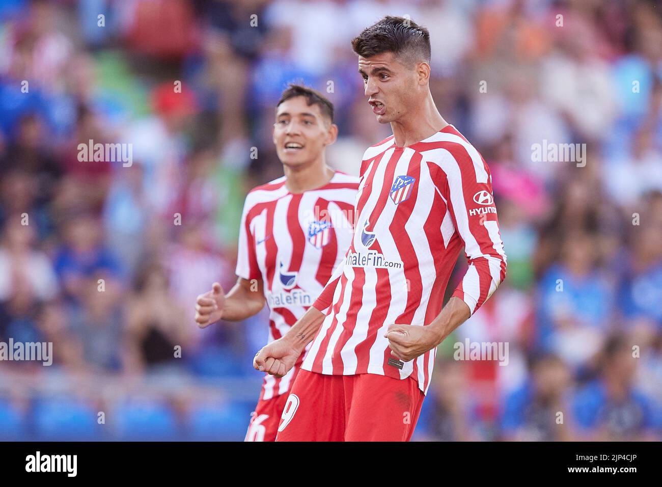 Alvaro Morata de l'Atlético de Madrid célèbre son but lors du match de la Liga entre Getafe CF et Atlético de Madrid joué au Colisée Alfonso Peres Stadium sur 15 août 2022 à Getafe, Madrid, Espagne. (Photo de Ruben Albarrán / PRESSIN) Banque D'Images