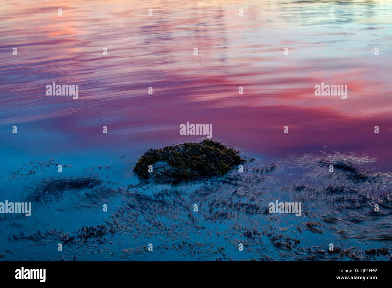 2 juillet 2022. 8:34pm. Rochers et algues après le coucher du soleil. Banque D'Images