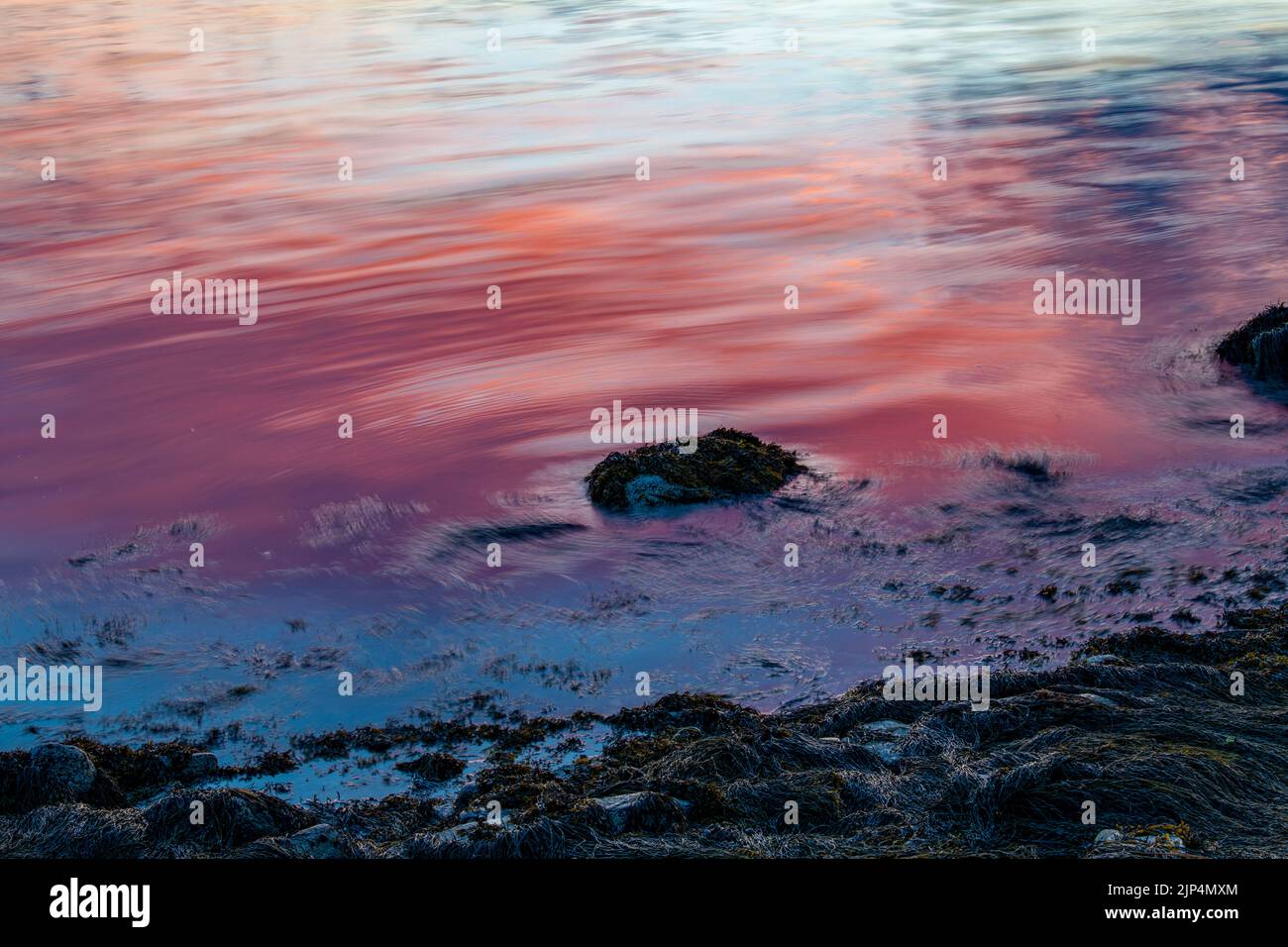2 juillet 2022. 8:33pm. Rochers et algues au coucher du soleil. Banque D'Images