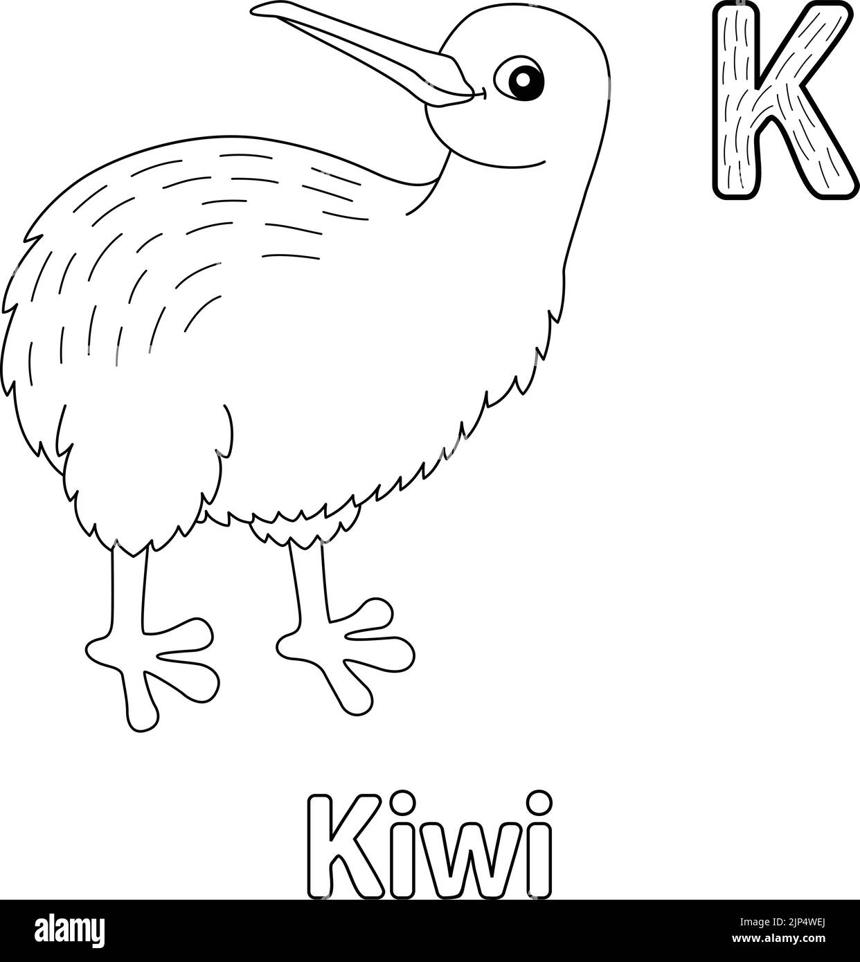 Kiwi Alphabet ABC coloriage page K Illustration de Vecteur