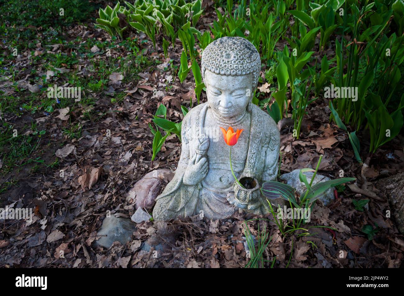 Une petite statue de Bouddha assis avec une fleur dans une zone sauvage, Ontario, Canada Banque D'Images