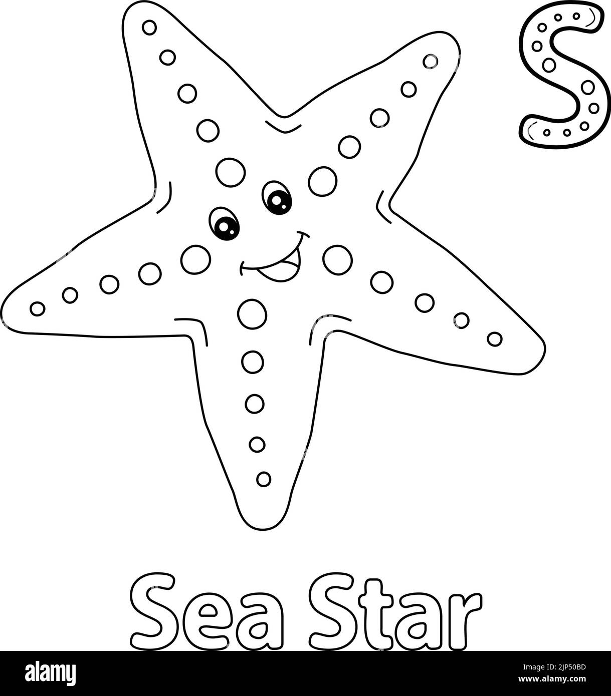Coloriage étoile De Mer Et Coquillage étoile de mer des animaux Banque d'images noir et blanc - Alamy