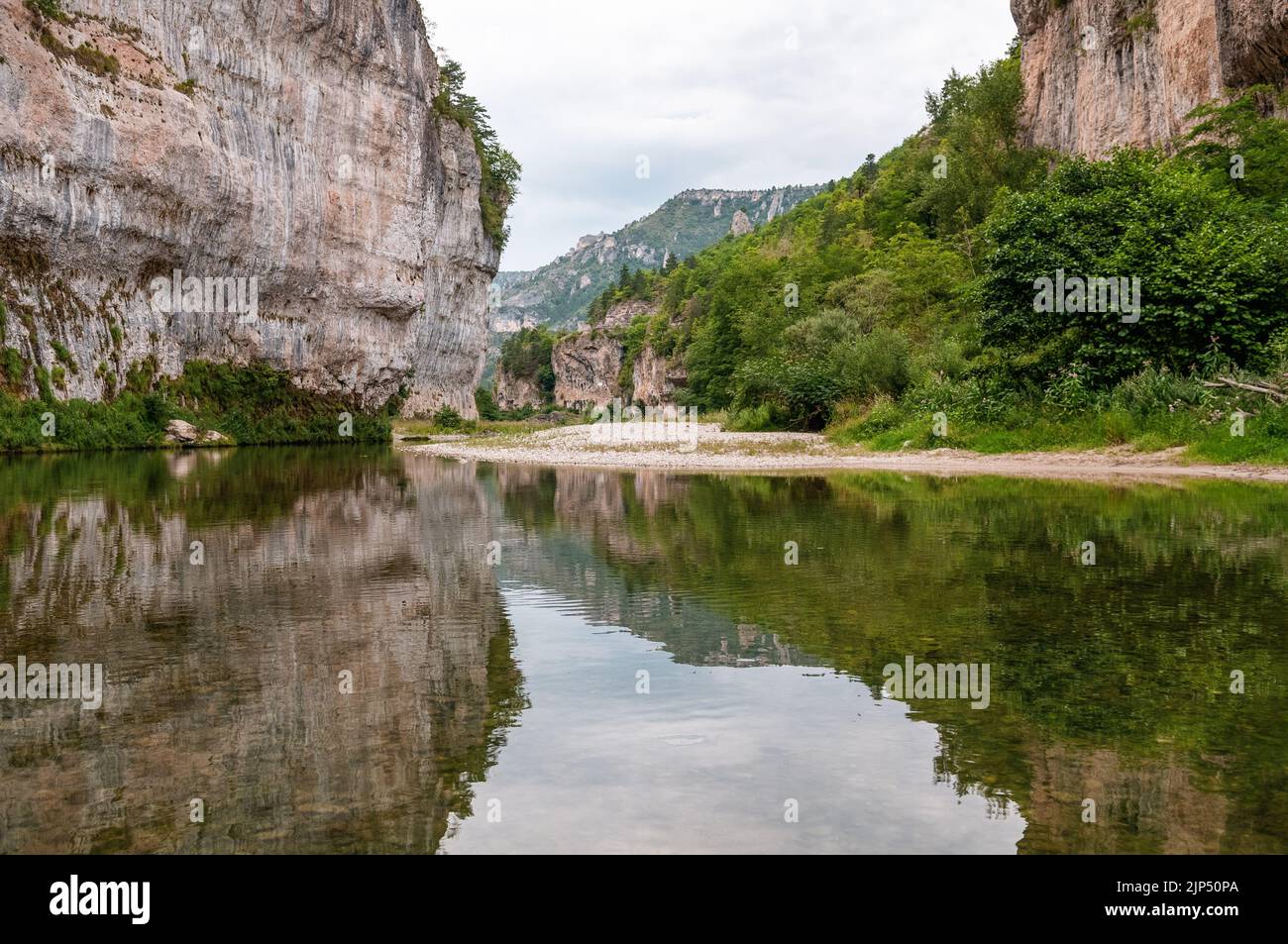 Réflexion et tranquillité, Gorges du Tarn, Lozère, France Banque D'Images
