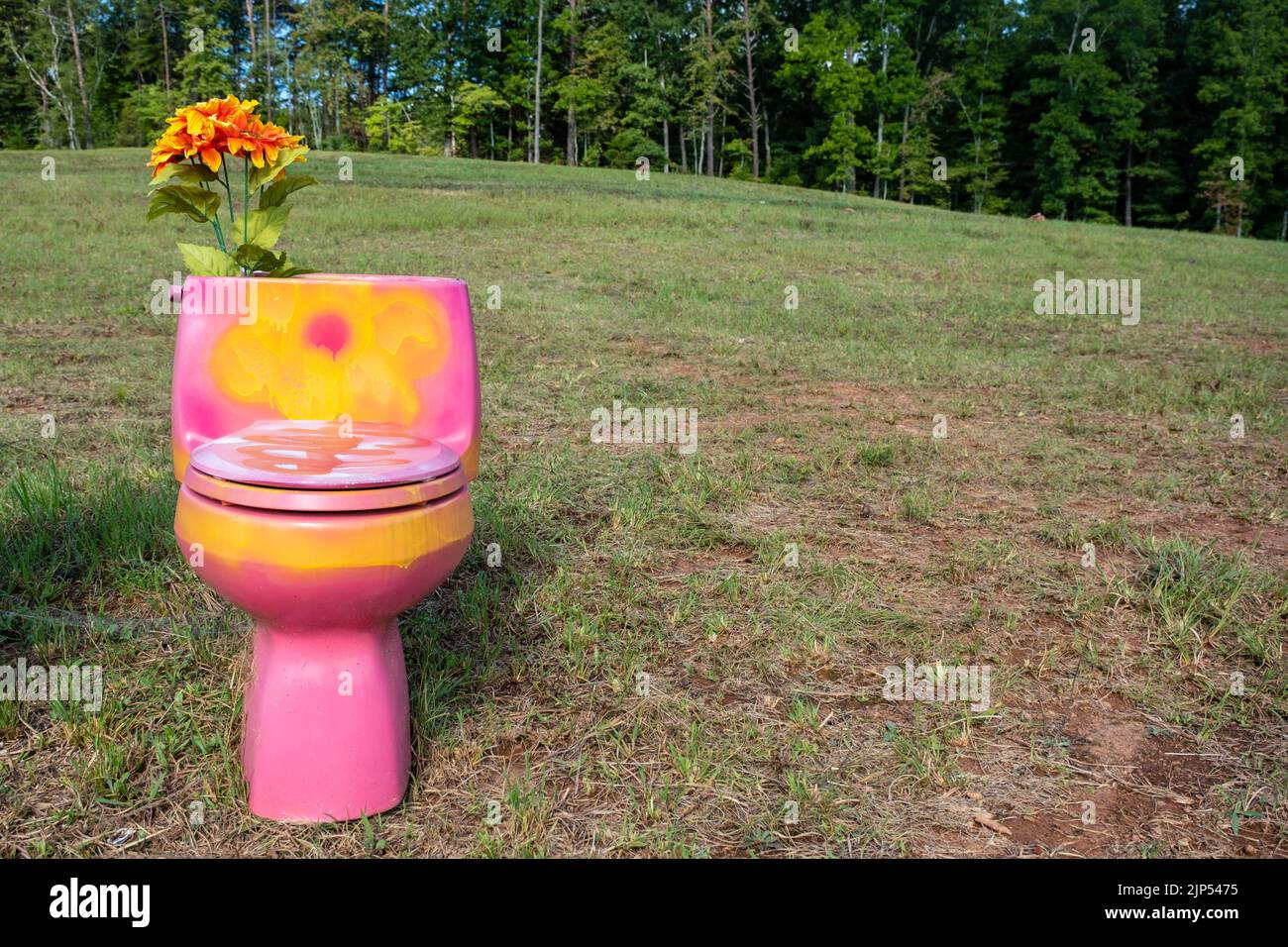 Les toilettes peintes en rose et jaune gaies se trouvent dans un champ avec des fleurs sortant du réservoir. Banque D'Images