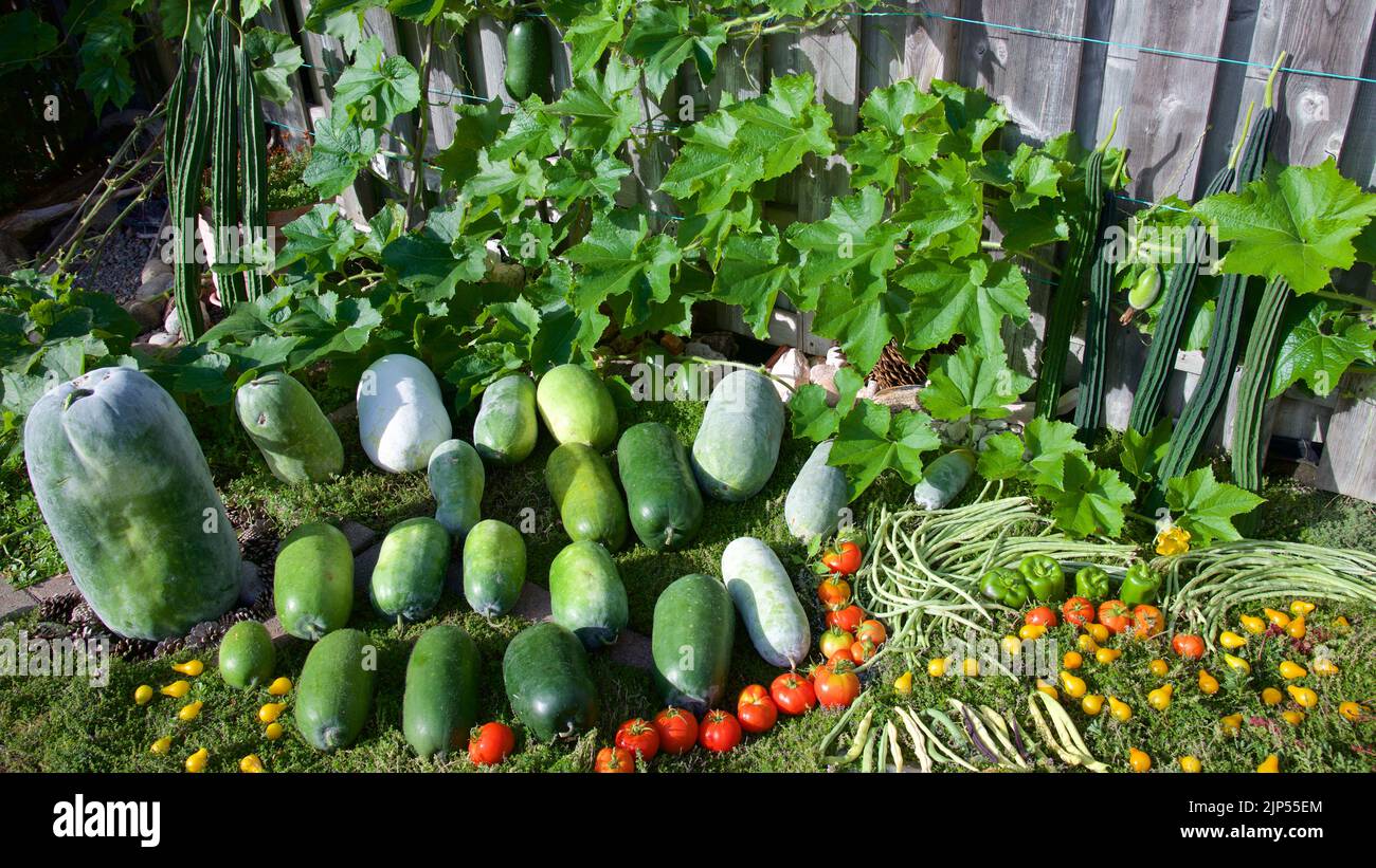 Produits du jardin Banque D'Images