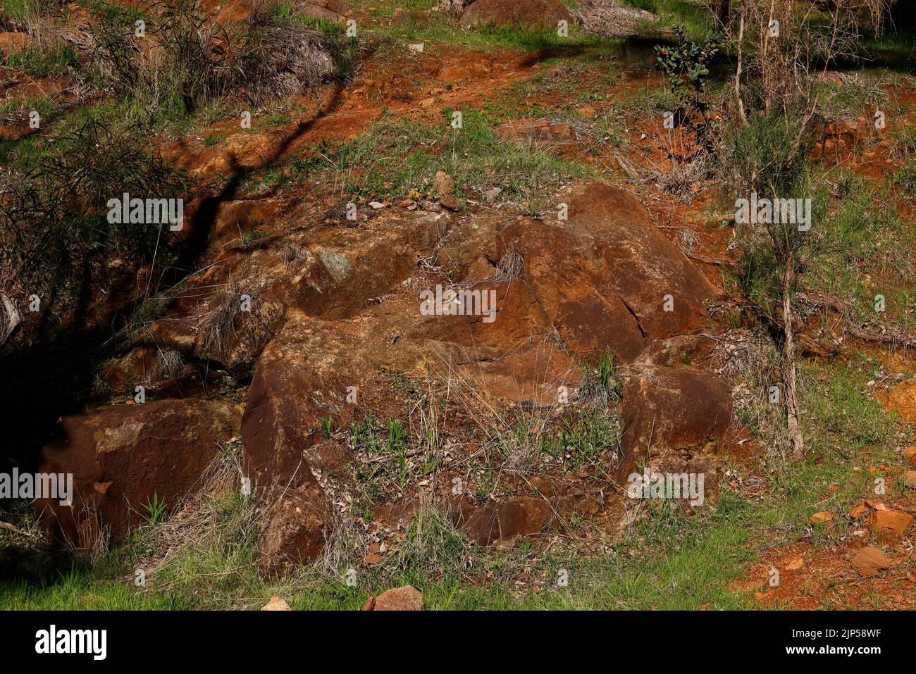 Plantes, roches anciennes et sol rouge vus au parc national John Forrest WA Australie. Banque D'Images