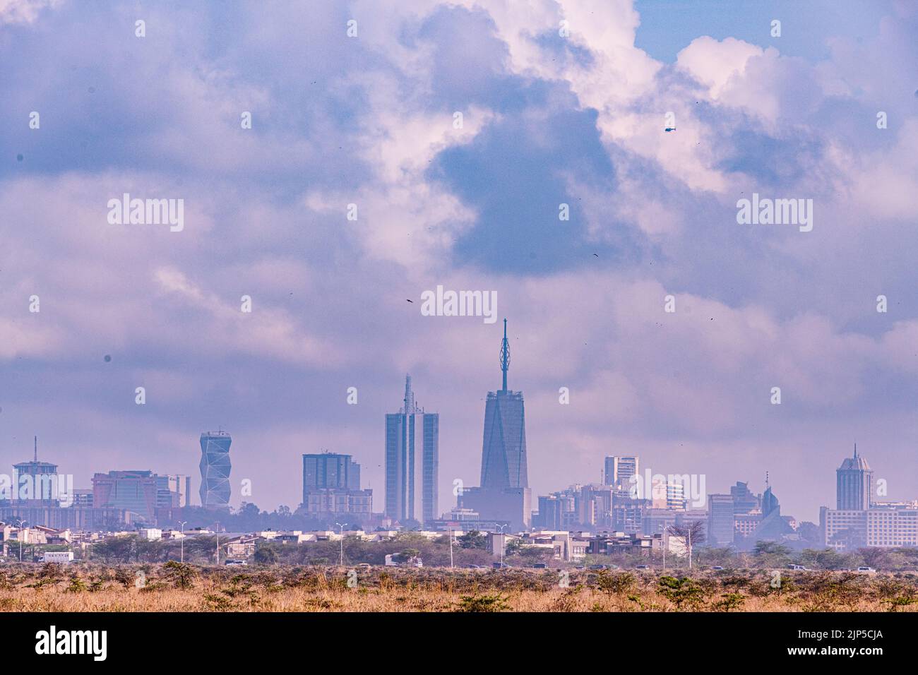 Nairobi City County National Park oiseaux animaux faune savane prairies paysages panoramiques vues panoramiques magiques Kenya Afrique de l'est Discovery Exp Banque D'Images