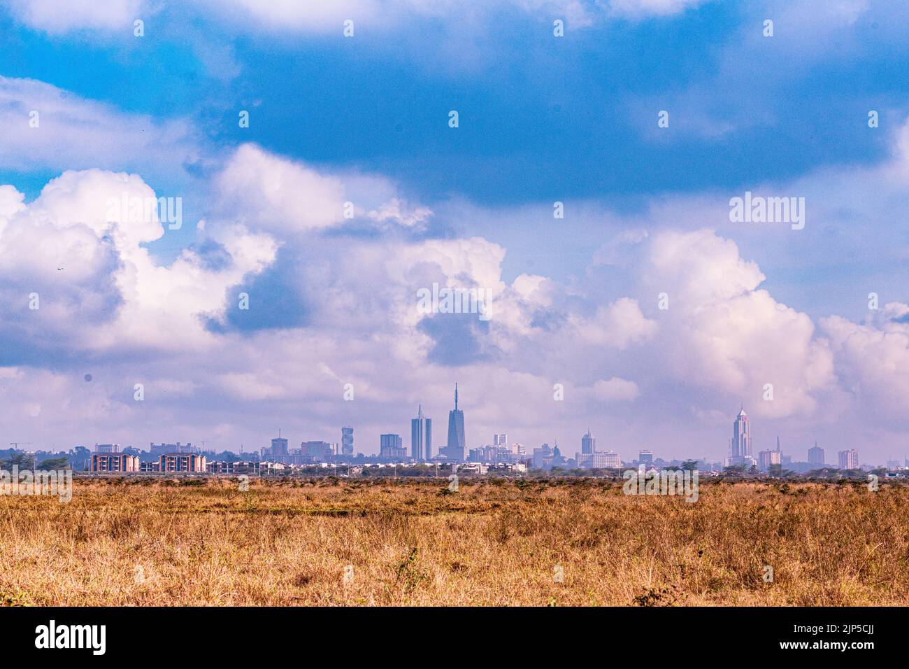 Nairobi City County National Park oiseaux animaux faune savane prairies paysages panoramiques vues panoramiques magiques Kenya Afrique de l'est Discovery Exp Banque D'Images