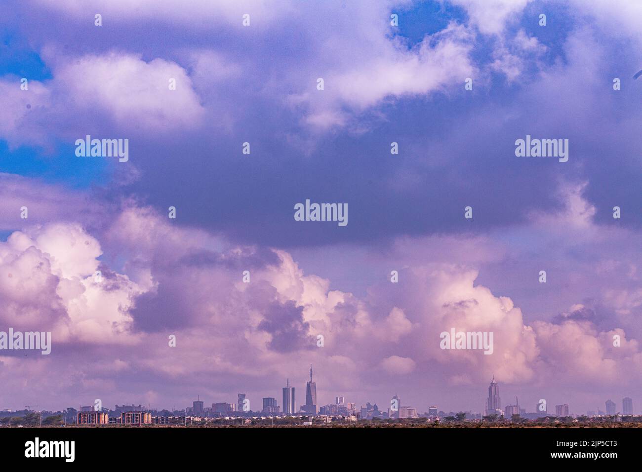 Nairobi City County National Park oiseaux animaux faune savane prairies paysages panoramiques vues panoramiques magiques Kenya Afrique de l'est Discovery Exp Banque D'Images