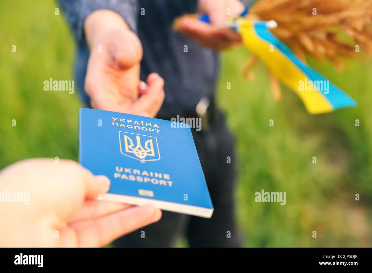 Recentrer passeport Ukraine. Main d'homme tenant un passeport ukrainien sur l'arrière-plan de la nature de la prairie. Drapeau de l'Ukraine. Bienvenue à l'Ukraine. Liberté. Hors foyer Banque D'Images