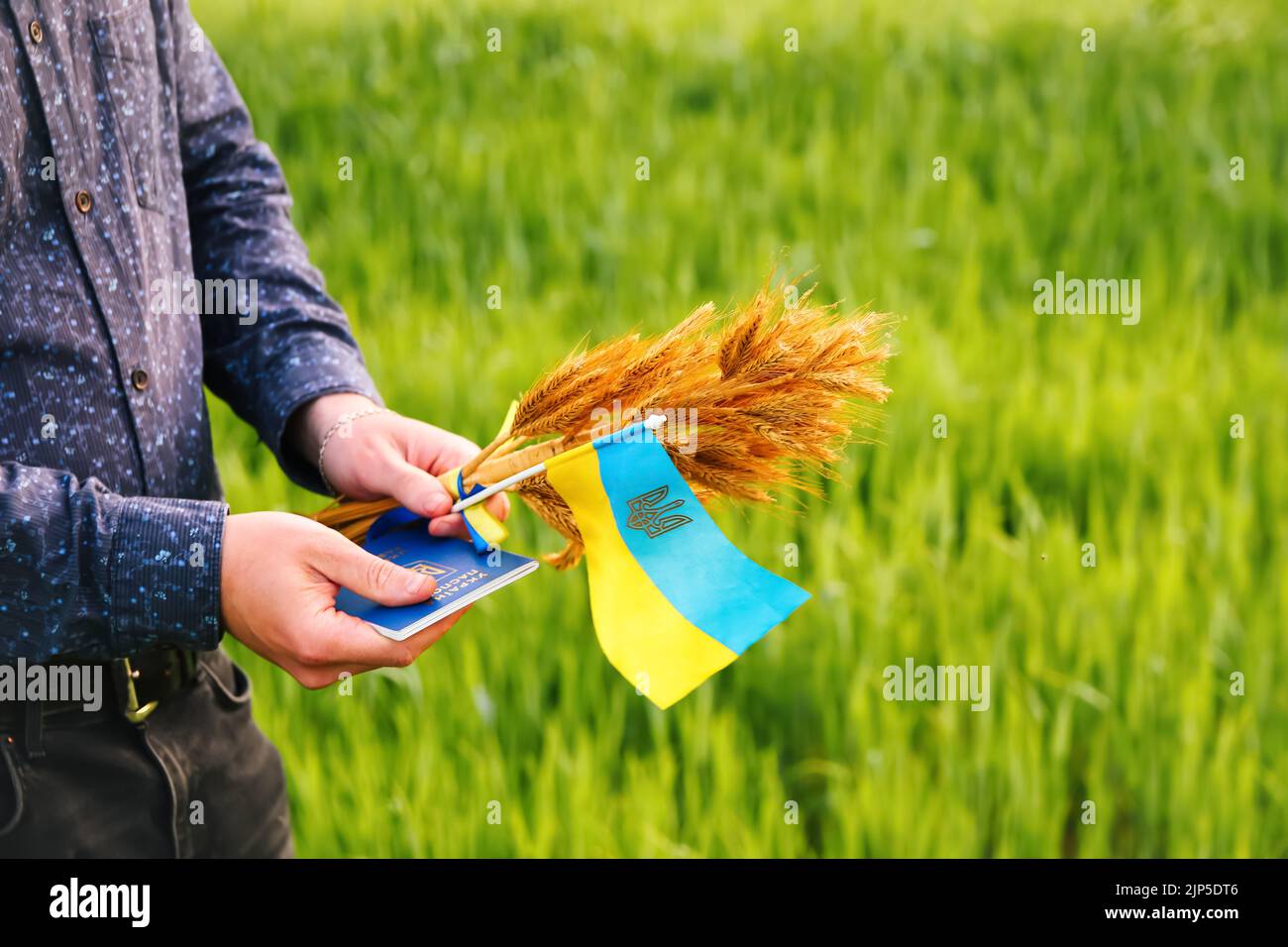 Recentrer le jeune homme portant un passeport ukrainien, un drapeau et des épis de blé attachés et un drapeau sur le fond de la nature du pré. Drapeau de l'Ukraine. Liberté Banque D'Images
