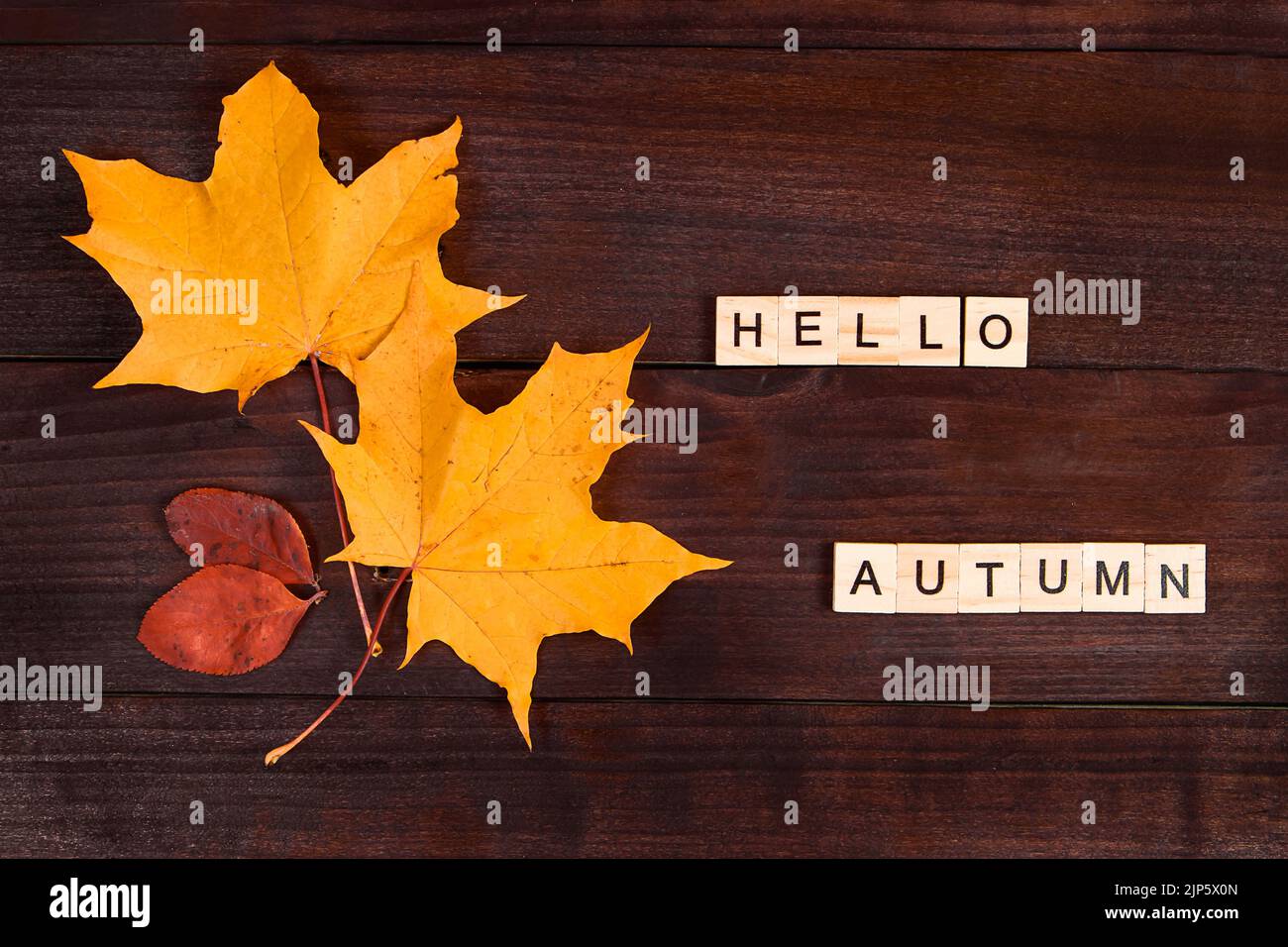 Bonjour automne. L'inscription de lettres en bois et de feuilles tombées sur un fond sombre. Banque D'Images